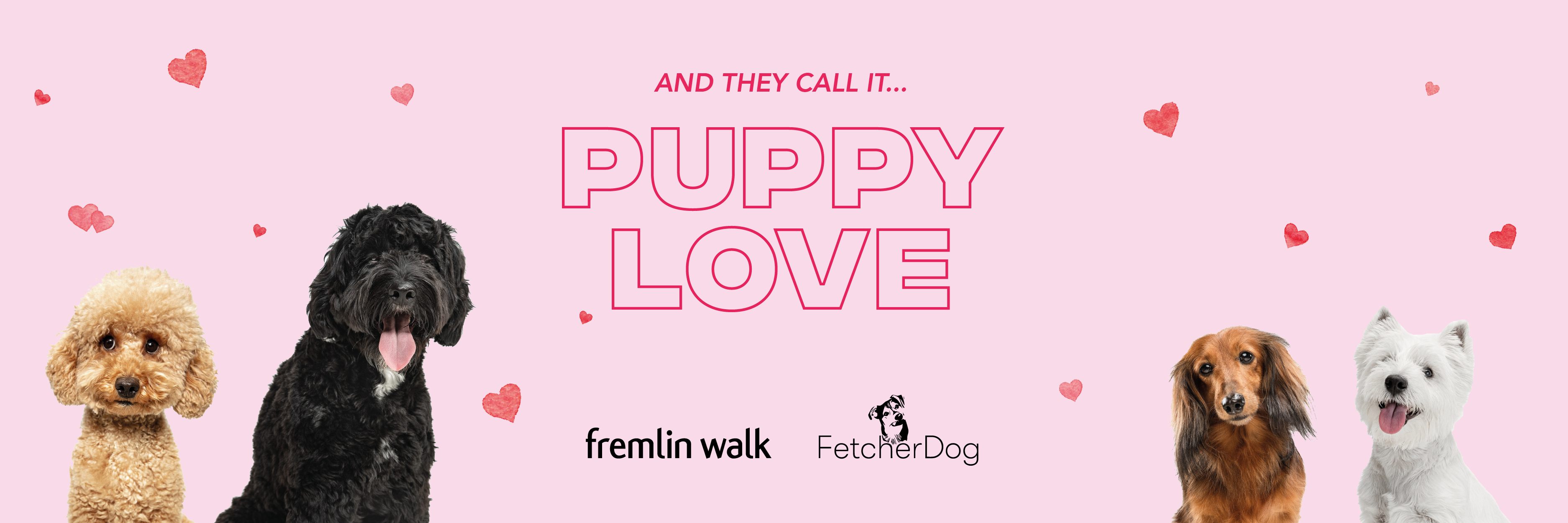 Puppy Love at Fremlin Walk