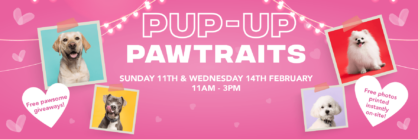 Pup-Up Pawtraits