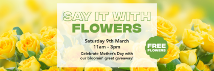 SAY IT WITH FLOWERS